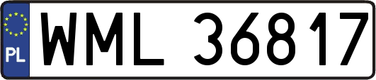 WML36817