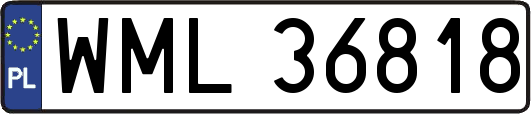 WML36818