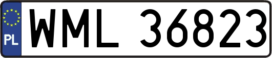 WML36823