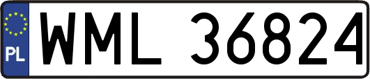 WML36824