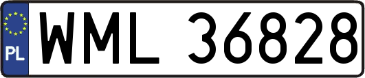 WML36828