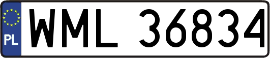 WML36834