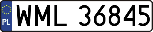 WML36845
