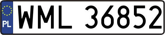 WML36852