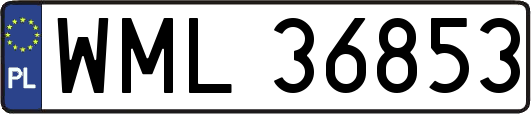 WML36853