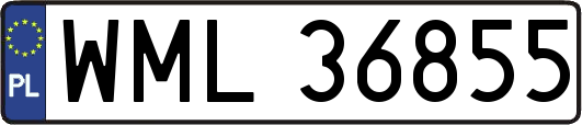 WML36855