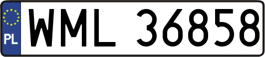 WML36858