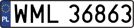 WML36863