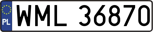 WML36870