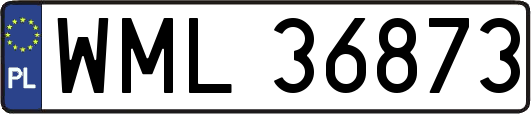 WML36873