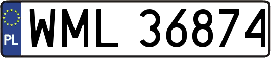 WML36874