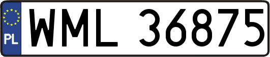 WML36875