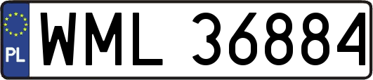 WML36884