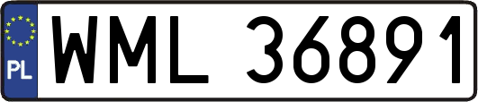 WML36891