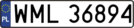 WML36894
