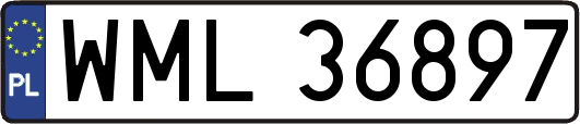 WML36897