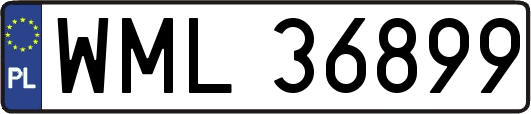 WML36899
