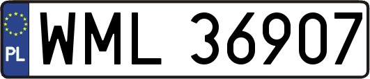WML36907