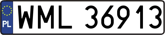 WML36913