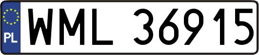 WML36915