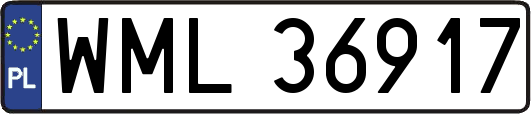 WML36917