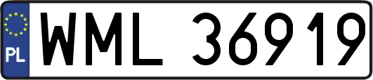 WML36919