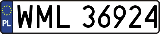 WML36924