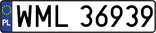 WML36939