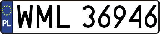 WML36946