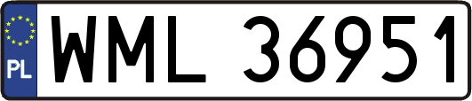 WML36951