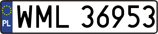 WML36953
