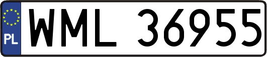 WML36955