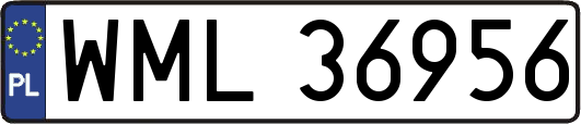 WML36956