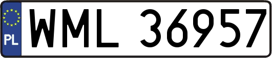 WML36957