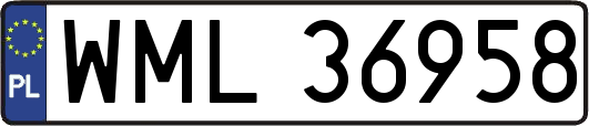 WML36958