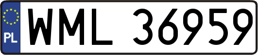 WML36959