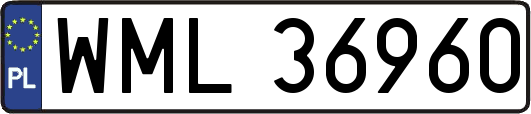 WML36960