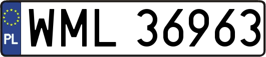 WML36963