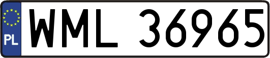 WML36965