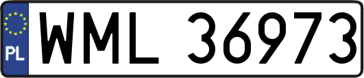 WML36973