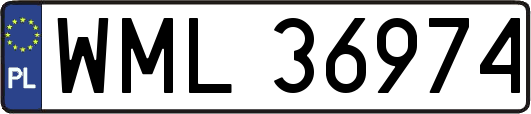 WML36974