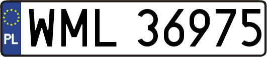 WML36975