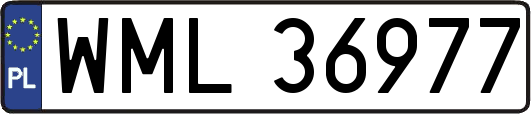 WML36977