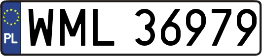 WML36979