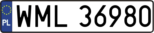 WML36980