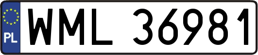 WML36981
