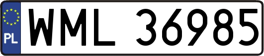 WML36985