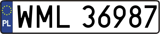 WML36987