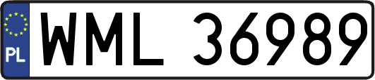 WML36989