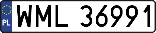 WML36991